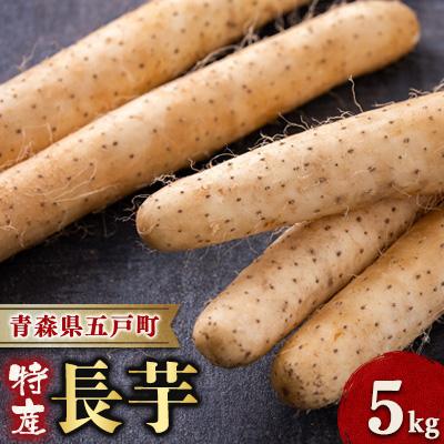 ふるさと納税 五戸町 【青森県五戸町特産】長芋　5kg