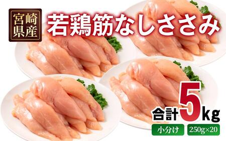 宮崎県産若鶏 筋なしささみ 5kg 小分け250ｇ×20パック＜70-16a＞