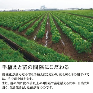 【2024年 令和6年先行予約】甚兵衛 白山だだちゃ豆（木箱入）1kg 【本豆】　株式会社 清川屋