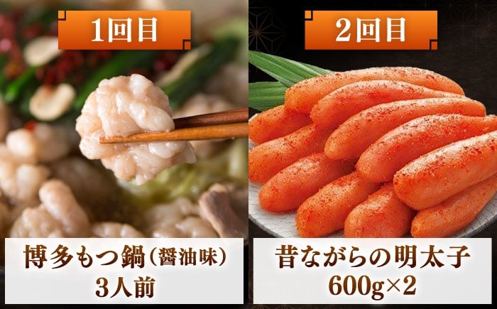 福岡 定期便 明太子 もつ鍋 水炊き 明太フランス 鍋 セット