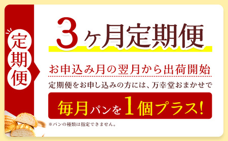 【3ヶ月定期便】メロンパン プレーン 12個 菓子パン 万幸堂 《お申し込み月の翌月から出荷開始》