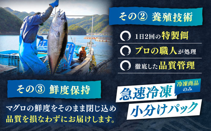 まぐろ マグロ 鮪 本マグロ 本まぐろ 中トロ 大トロ 刺身 刺し身 海鮮 海鮮丼 冷蔵 新鮮 鮮魚 直送 赤身 トロ とろ