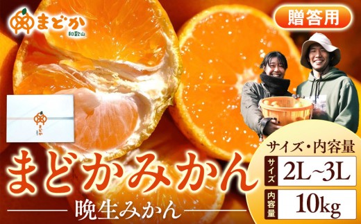 
                  ［先行予約］［贈答用］蔵出しみかん（晩生みかん）2L〜3Lサイズ混合 10kg＋500g（傷み補償分）［2026年1月上旬より発送］
                