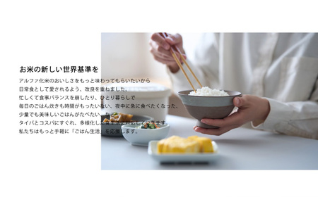パックご飯 【全3回定期便】炊かなくていいお米 白飯(360g×2袋) [ANBF017] パックご飯
