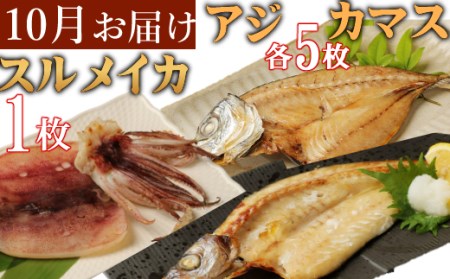 【3回偶数月定期便】カツオと地魚干物【いずま海産】[iz051]/ 干物