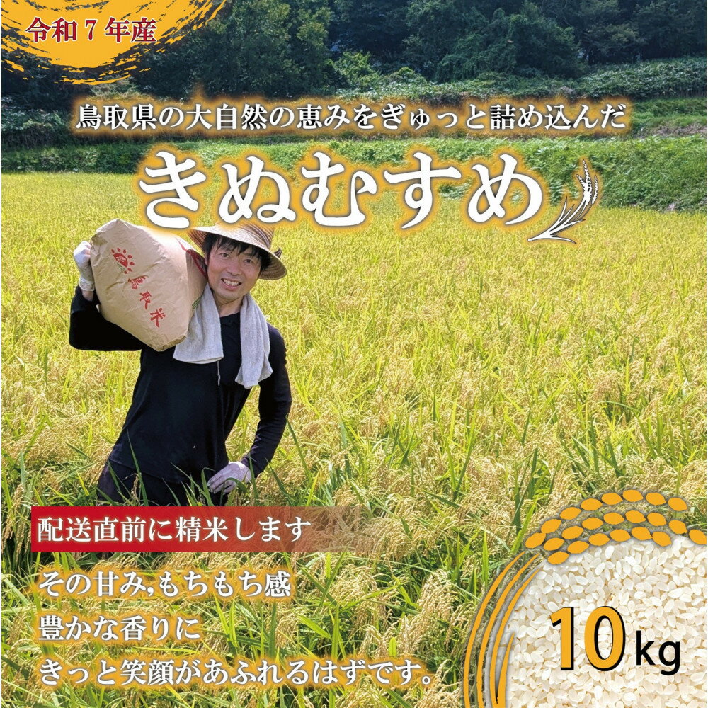 【ふるさと納税】1083.令和7年産　原田農園きぬむすめ精米　10kg | 新米 米 お米 こめ 白米 きぬむすめ ご飯 ごはん 白ごはん 白ご飯 10kg おすすめ 人気 2025年産 令和7年 厳選 国産