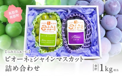 【FM01】ぶどうの詰め合わせ 約1kg（ピオーネ・シャインマスカット） 9月中旬出荷開始予定 ＜2026年収穫分・数量限定＞【先行予約】