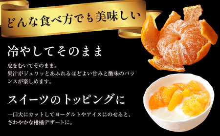 ＼お試し規格╱【極】蔵出し熟成みかん 1.9kg《2月中旬-3月上旬頃出荷》