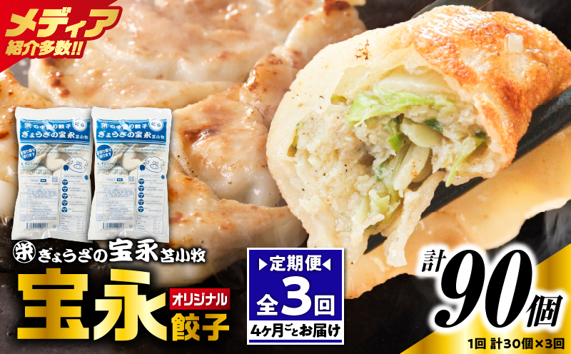 【定期便・全3回 4ヶ月毎】手包み餃子 ぎょうざの宝永 宝永餃子30個セット（宝永餃子15個入×2袋）　T004-T01-02-01