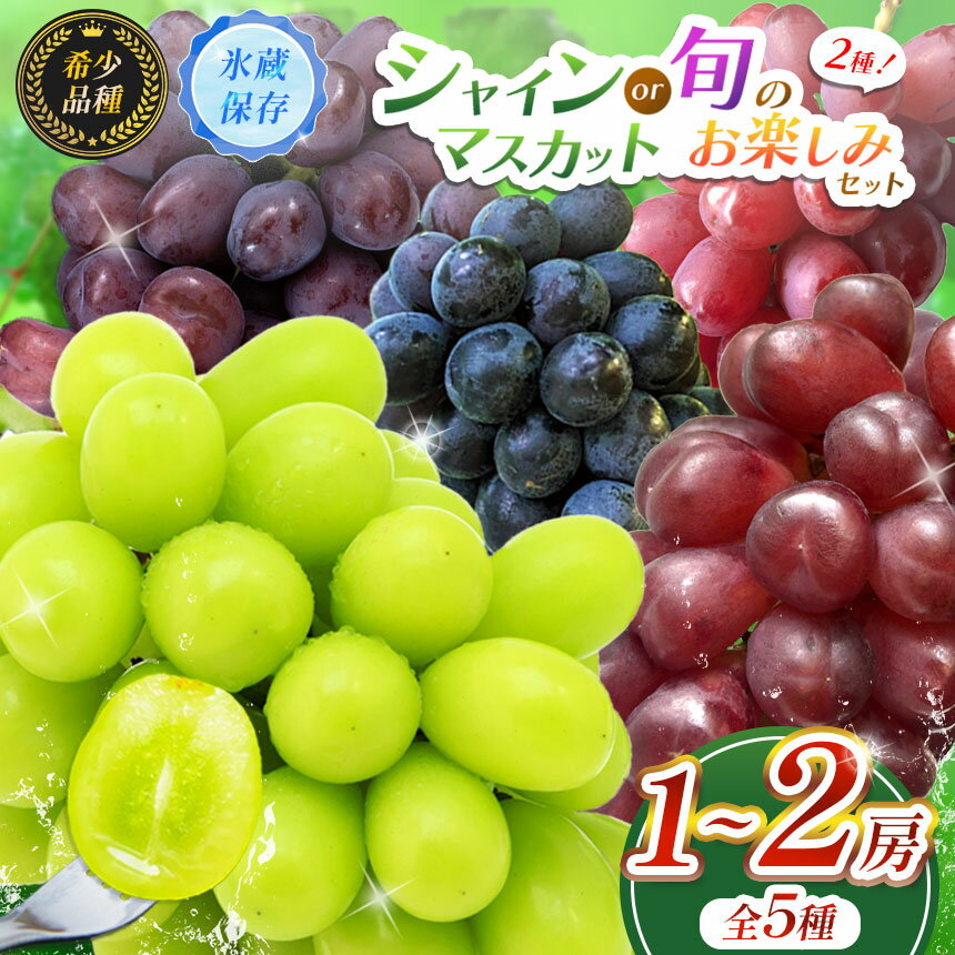 【ふるさと納税】 【先行予約】選べる！【甘みが増す完熟 氷蔵保存】 シャインマスカット（単品 or セット） | 果物 くだもの フルーツ 葡萄 ぶどう ブドウ シャインマスカット 希少 マイハート BKシードレス 富士の輝き クイーンルージュ® 氷蔵保存 長野県 塩尻市