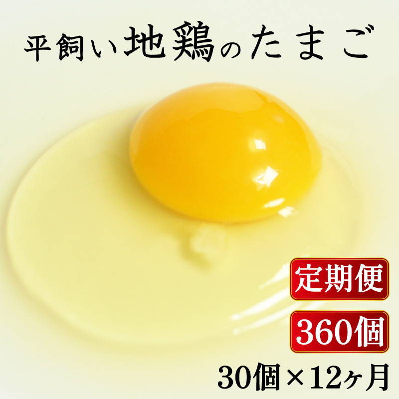 
定期便 全12回 平飼い地鶏のたまご 30個×12ヶ月 合計360個 毎月30個 たまご 卵 玉子 生卵 鶏卵 平飼い 岡崎おうはん 地鶏 鳥 鶏 愛知 なごや 岡崎 愛媛 愛南町 ケーキ お菓子 おかず ブランド 希少 送料無料 ローカルスタンダード
