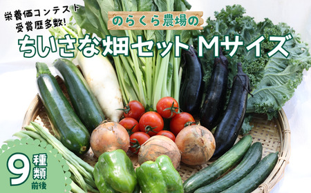 有機野菜ちいさな畑セット（Mサイズ　２～３人前）［NK-101］