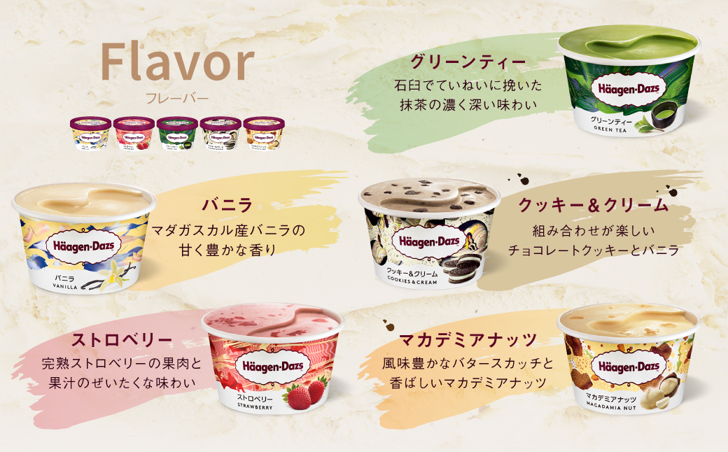 【着日指定できます!!】ハーゲンダッツ『定番ミニカップ5種セット(合計24個)』アイスクリーム アイス スイーツ デザート_H0016-133