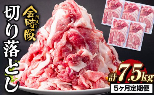 ＜ブランド豚＞ 定期便 阿波の金時豚 大容量1.5kg ×5ヶ月定期便 切り落とし アグリガーデン 《お申込み月の翌月から出荷開始》豚肉 ブランド豚 肉 小分けパック 送料無料 徳島県 上板町 st-p