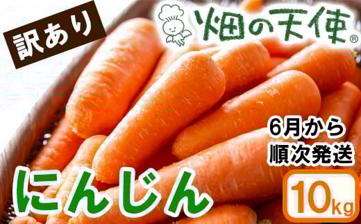 
            【予約受付】農薬・化学肥料不使用 《自然のまま》訳ありにんじん 10kg 2025年6月以降配送
          