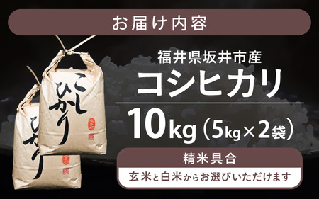 令和8年産 坂井市産 コシヒカリ 10kg (5kg×2袋) 【玄米】2026年10月上旬以降順次発送 米 コメ お米 福井こしひかり [A-10219_02]