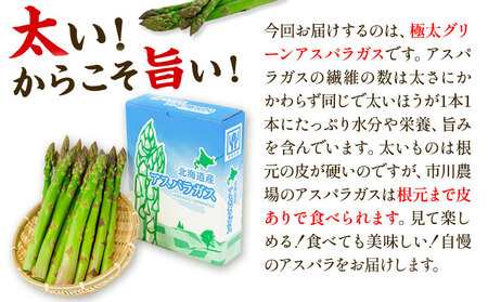 [1.5-69]　【令和6年発送先行受付】市川農場とれたて極太グリーンアスパラ1kg