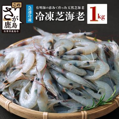ふるさと納税 鹿島市 冷凍芝エビ(真エビ)1kg(500g×2パック)