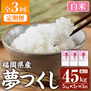 ≪令和7年産新米≫【3回定期便・白米】【食味鑑定士厳選】福岡県産 夢つくし(総計45kg・5kg×3袋×3回) 白米 米 お米 おこめ ごはん ゆめつくし ご飯 常温 福岡県産 ブランド米 定期便 定期 頒布会 常温 常温保存 【ファインリョーコク】as34-014