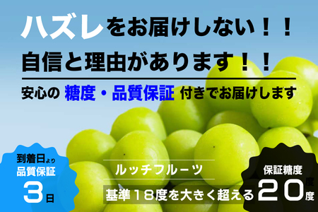 【糖度20度保証付】シャインマスカット 約1.1kg 2～3房 FN-Limited 104-041-FN | 【数量超限定】旬の美味しいフルーツだけをお届けします【ルッチ Rucci】産地直送 山梨県 笛吹市 果物 葡萄 ぶどう 贈答 人気 ギフト プレミアム 高級