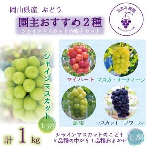 岡山　花笑み農園『園主おすすめぶどう2種セット』～シャインの親子セット～　2M-1SR　9月中下旬～【配送不可地域：離島】【1629367】