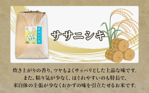 【定期便2回・毎月発送】宮城県いしのまき産米 10kg×2回 サ