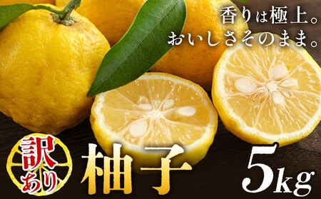 ゆず 訳あり 柚子 約5kg 《11月中旬-1月中旬頃発送》【配送不可地域あり】※離島