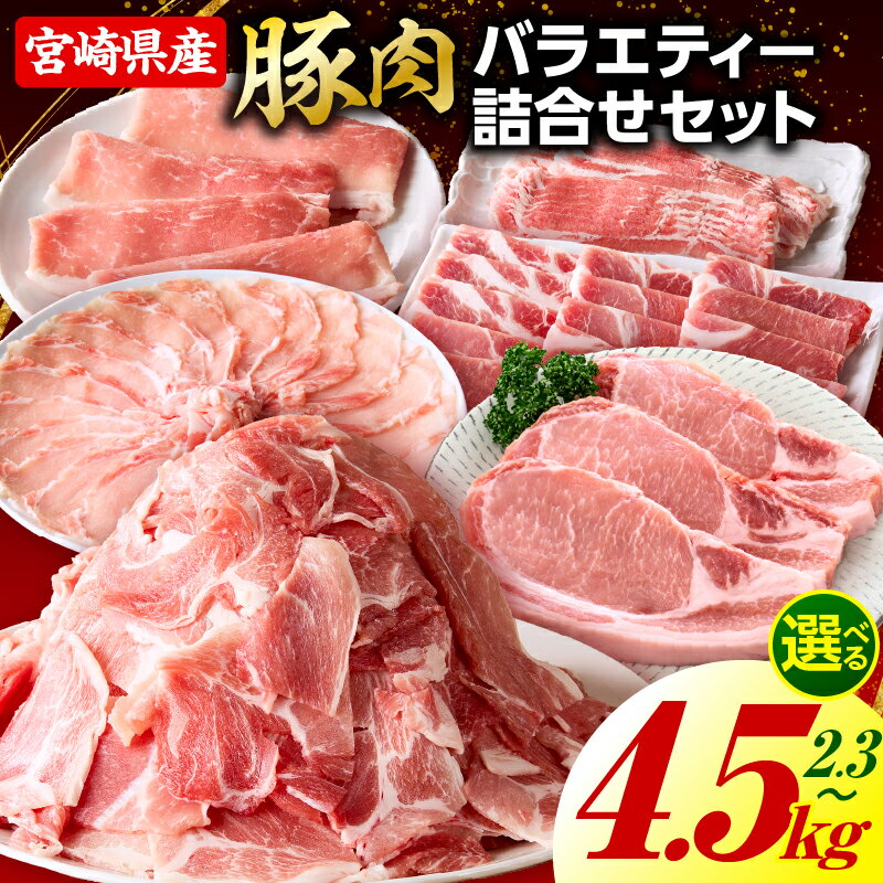 【ふるさと納税】【選べる内容量】豚肉バラエティー詰合せセット 豚肉 豚 肉 お肉 精肉 セット 切り落とし ミンチ ハンバーグ ロース 国産 小分け 詰め合わせ しゃぶしゃぶ とんかつ スライス 焼肉 バラ 肩ロース 贈答用 ご褒美 お祝い 宮崎県産 送料無料