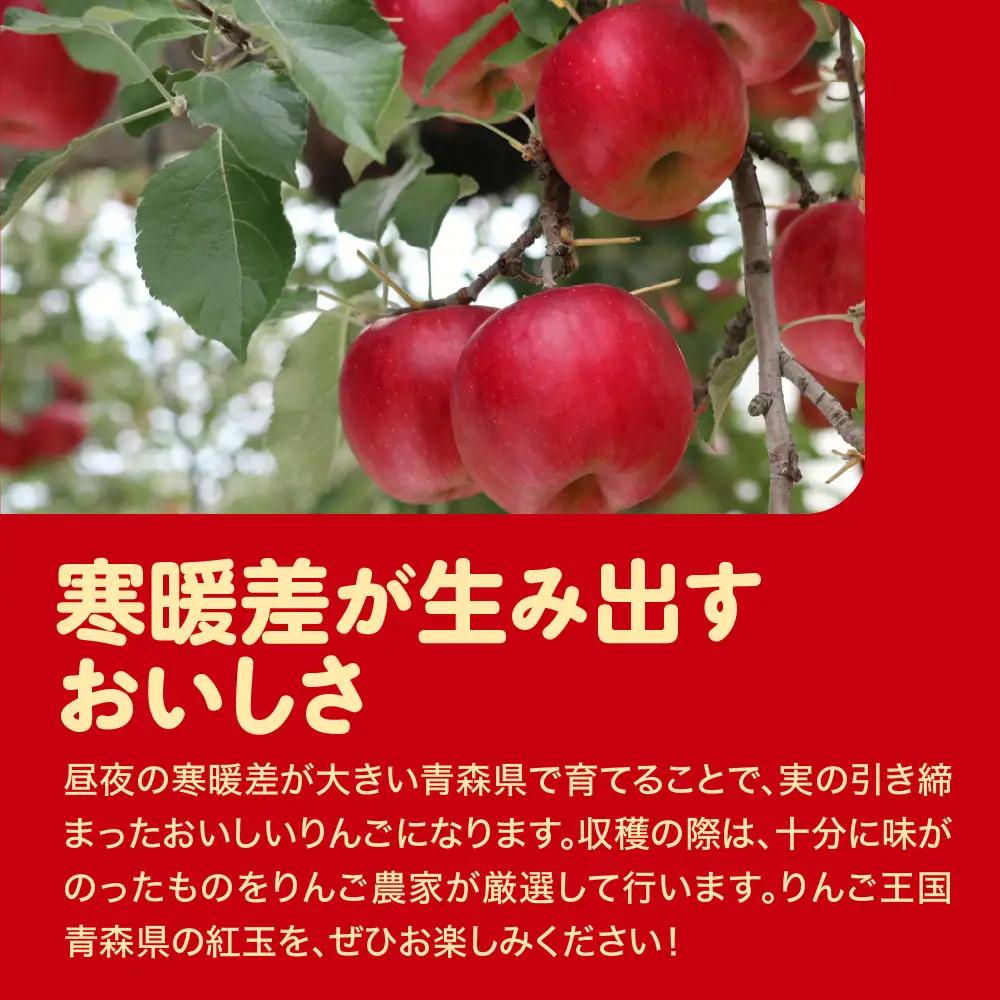 紅玉　訳あり りんご 約10kg 青森県産 りんご