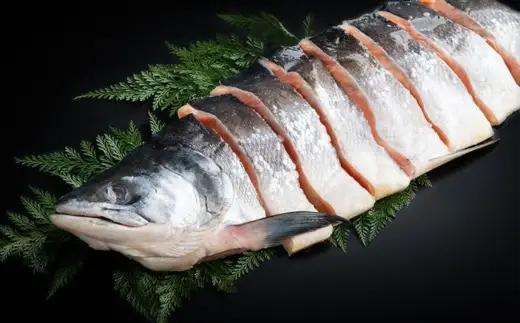時鮭 切り身 800g [ 北海道 オホーツク ] 訳あり AH021 しゃけ 魚 鮭