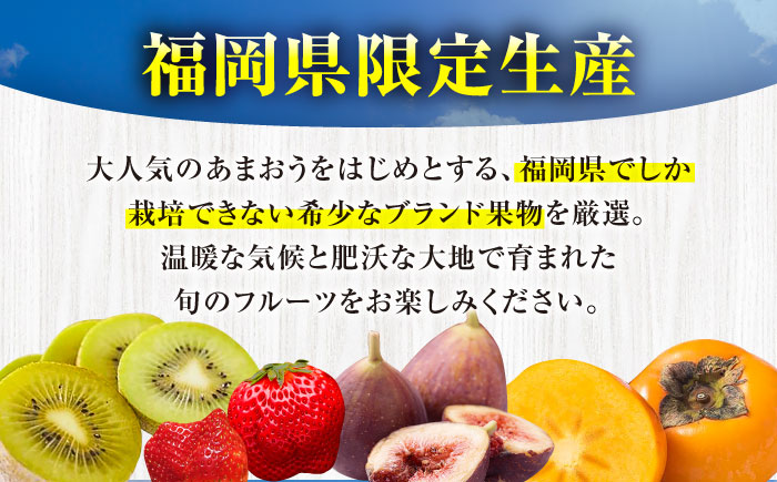 フルーツ定期便 6万5千円コース (あまおう3種＆いちじく) 《豊前市》【豊前市定期便】 [VZZ018]