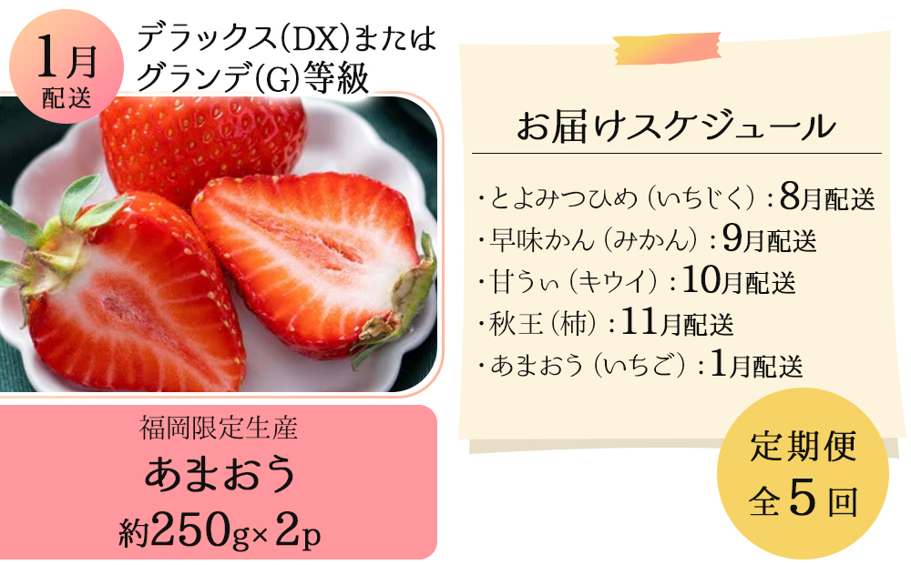 ＜5回定期便＞福岡ブランドの旬のフルーツ定期便 (篠栗町)｜イチジク ミカン キウイ 柿 イチゴ【NF019】