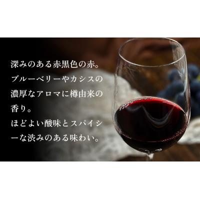 ふるさと納税 伊豆市 伊豆プティ・ヴェルド 2021(750ml) |  | 03