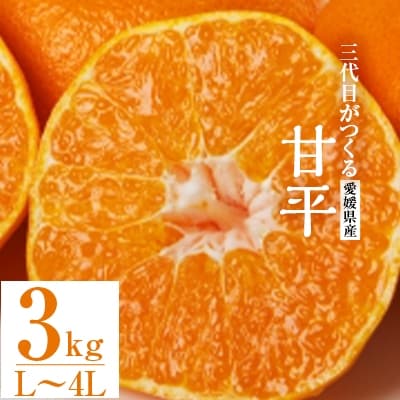 三代目がつくる甘平3kg【C31−1】【1042519】