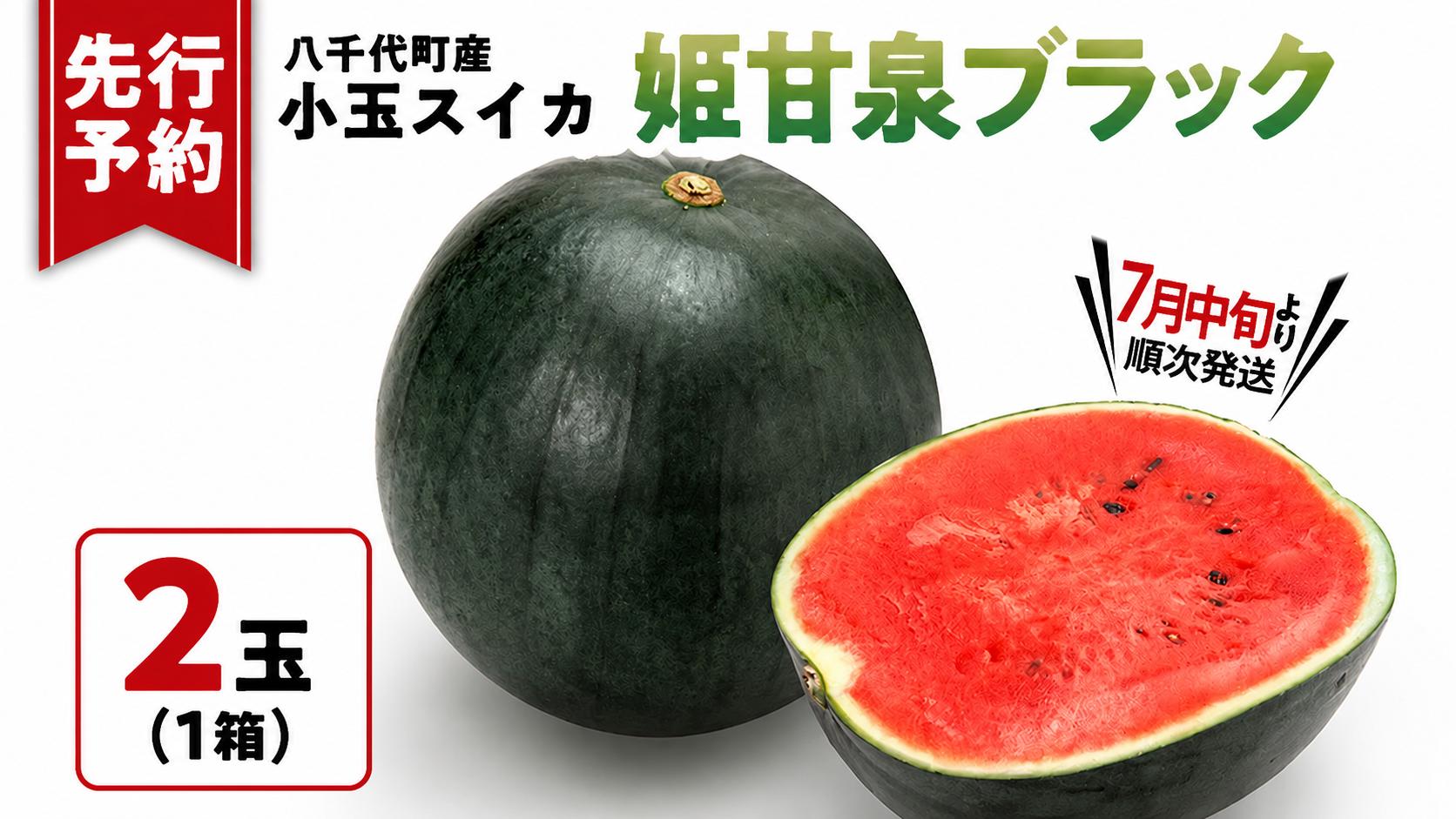 
                  【先行予約 2026年7月中旬以降発送開始】先行予約 小玉スイカ 姫甘泉ブラック 1箱（2玉入り）八千代町産  黒皮 すいか スイカ 西瓜 小玉 果物 フルーツ お取り寄せ 産地直送 茨城県 [AV012ya]
                