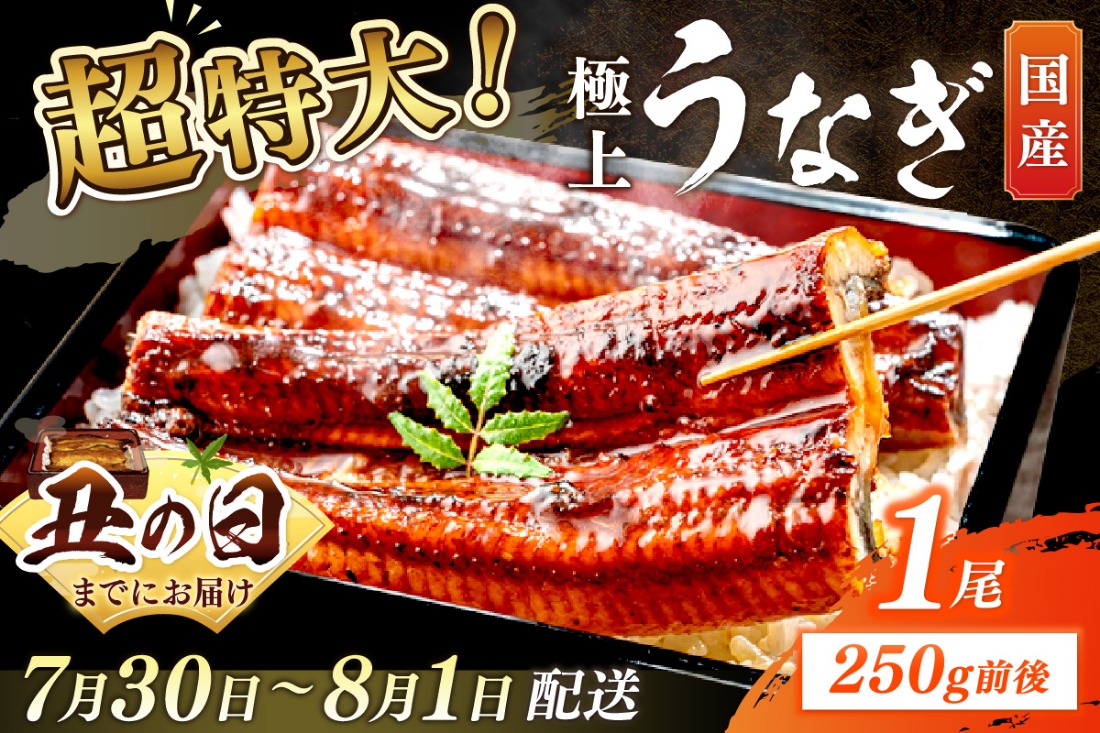 【7月30日～8月1日配送】超特大！極上！国産うなぎ蒲焼 1尾 250g前後　YK00400_02