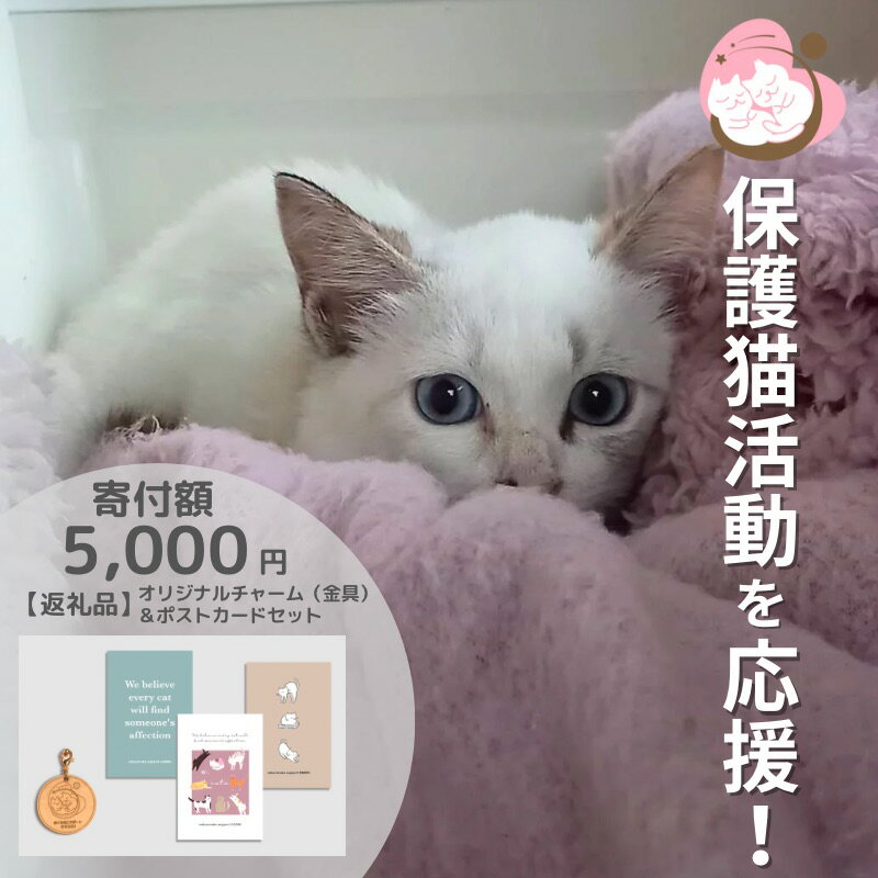 【ふるさと納税】保護猫活動を応援！ ロゴチャーム（金具）&ポストカード×3枚 さくらねこサポートOGORI 雑貨 日用品 猫 保護猫