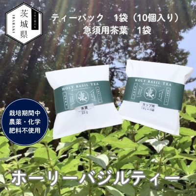 
                  奇跡のハーブ ホーリーバジルティー＜ティーパック10個入×1袋、急須用茶葉22g×1袋＞計2袋【1719300】
                