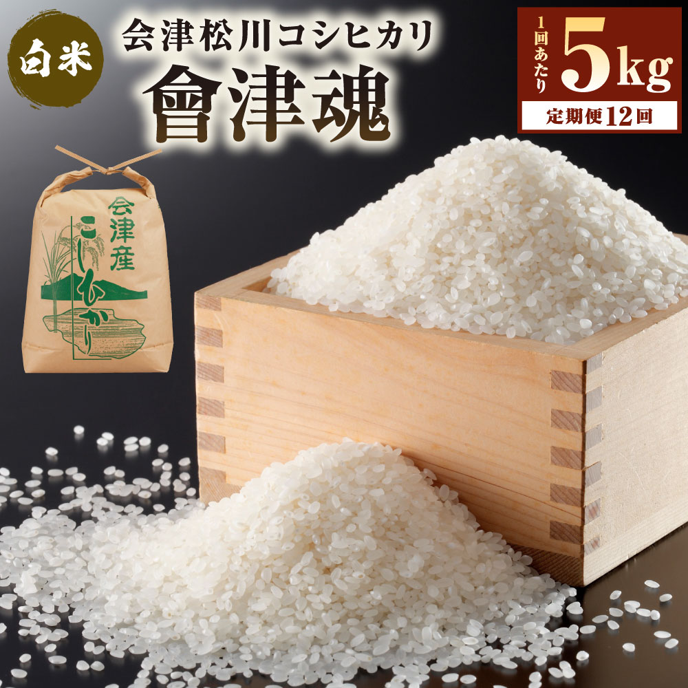 【ふるさと納税】[お米定期便12回] 会津産コシヒカリ「會津魂」【白米】5kg×12回｜ こしひかり 会津若松市 お米 米 こめ 精米