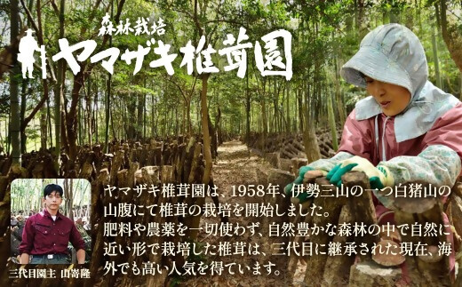  YZ‐03　森林栽培原木乾しいたけ「香信」 170g