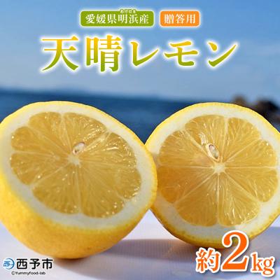 ふるさと納税 西予市 【先行受付】天晴レモン　贈答用　約2kg　れもん　えひめ　果物