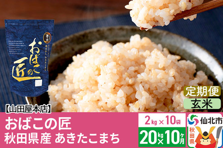 【玄米】《定期便10ヶ月》令和5年産 仙北市産 おばこの匠 20kg（2kg×10袋）×10回 計200kg 10か月 10ヵ月 10カ月 10ケ月 秋田こまち お米 秋田県産あきたこまち