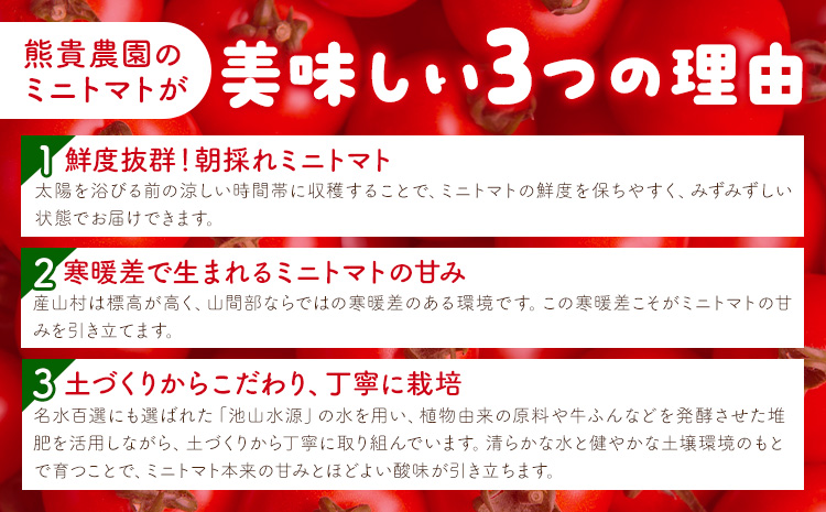ミニトマト ほれまる 約1kg 熊貴農園《7月上旬-11月上旬出荷》熊本県 阿蘇郡 産山村 ミニトマト トマト とまと 野菜 やさい プチトマト