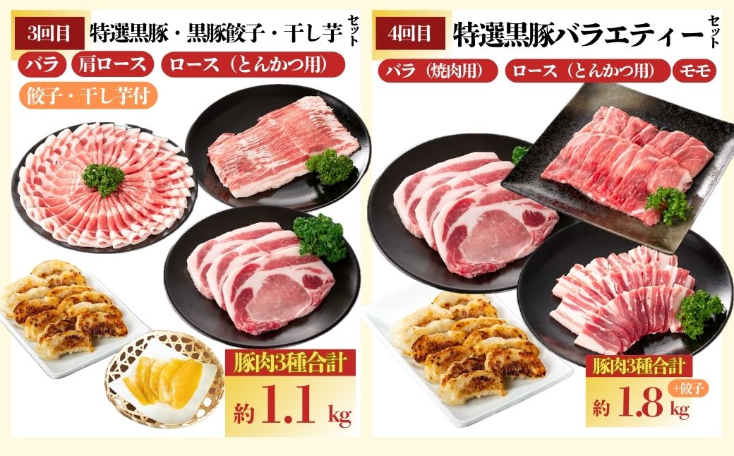 『かごしま黒豚ふるさと定期便』バラエティーセットC・全10回