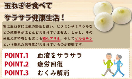 タマネギ（新玉ねぎ）なかはら農園 （5kg）サイズ2L～Mサイズ （たまねぎ、玉葱） A050-002