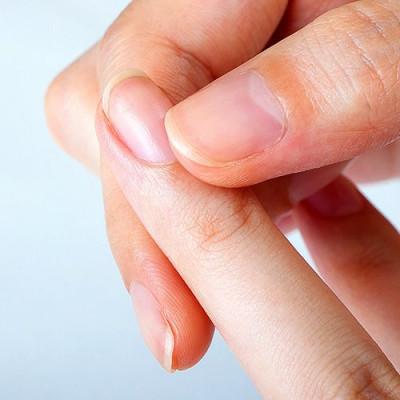 ふるさと納税 富田林市 ララヴィ ( Lala Vie ) ヘア&ネイルバーム 15g |  | 02