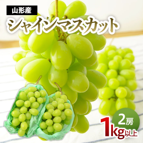 山形のぶどう シャインマスカット 1kg以上(2房)[9月中旬～10月中旬お届け]【令和8年産先行予約】FS24-575