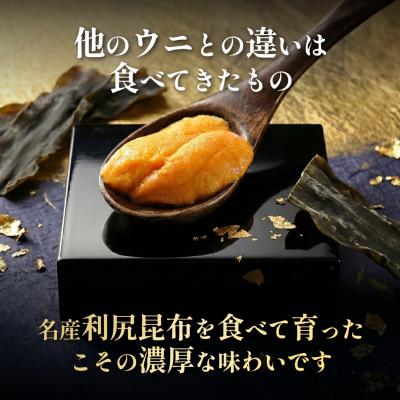 ふるさと納税 利尻町 【2026年発送受付】利尻島産「朝どり」塩水生うに100g (100g×1) 天然キタムラサキウニ |  | 02