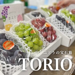 【きよとうファーム】葡萄の宝石箱トリオ(シャインマスカット入り3品種詰合せ)(岡山県産)【配送不可地域：離島】【1606494】