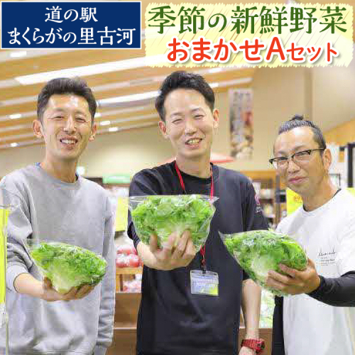 道の駅まくらがの里古河　季節の新鮮野菜おまかせAセット  ※北海道・沖縄・離島への配送不可 | 野菜 セット 詰合せ 詰め合わせ セット アソート 新鮮 道の駅 人気 ギフト 贈答 贈り物 プレゼント お中元 お歳暮 茨城県 古河市 直送 農家直送 産地直送 送料無料 _BQ03